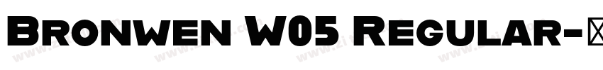 Bronwen W05 Regular字体转换